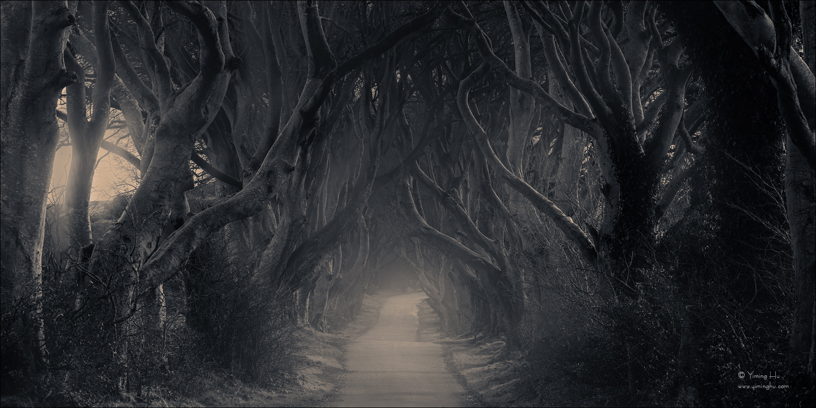 Ireland Scotland Tour Image