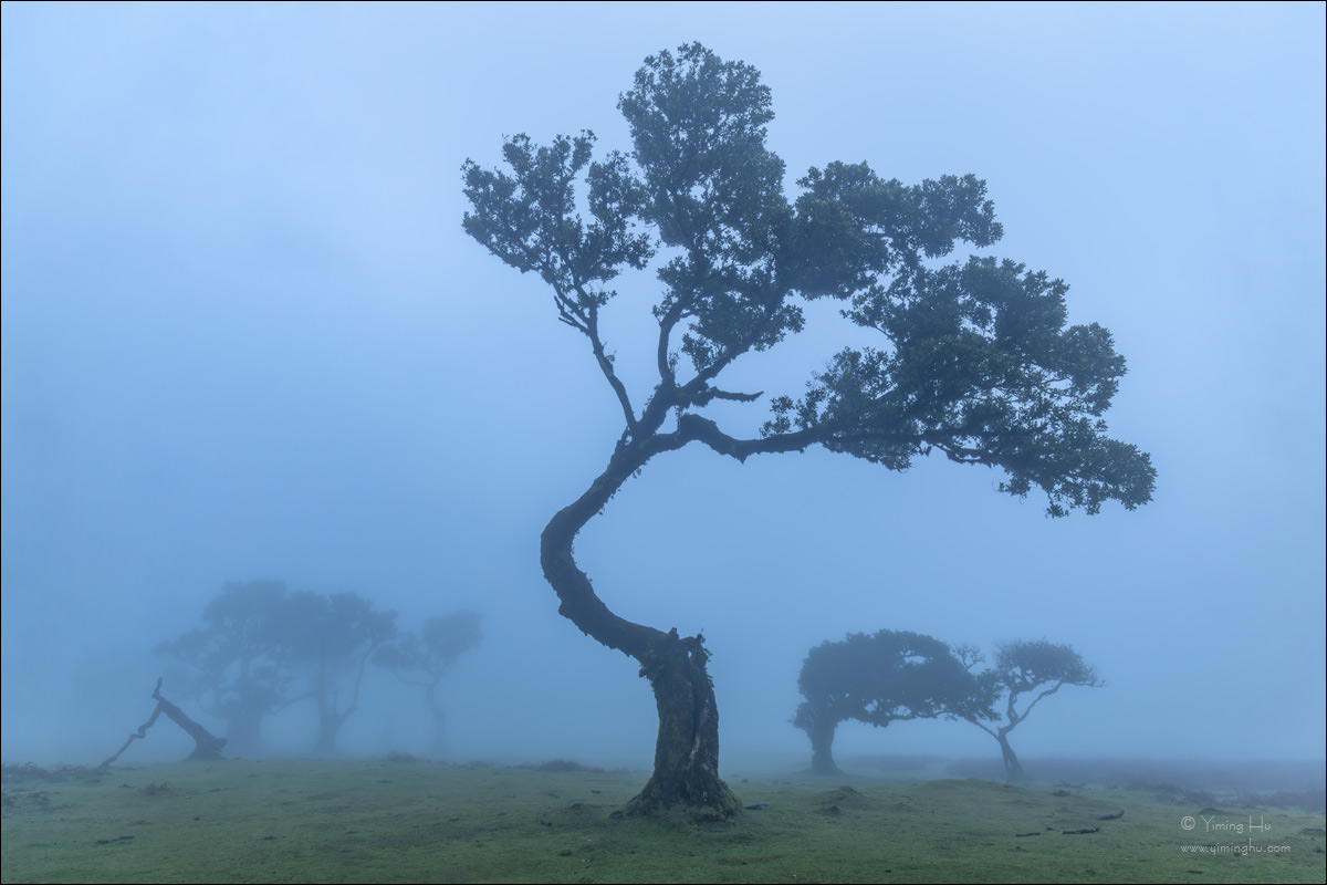 Portugal Islands Tour
