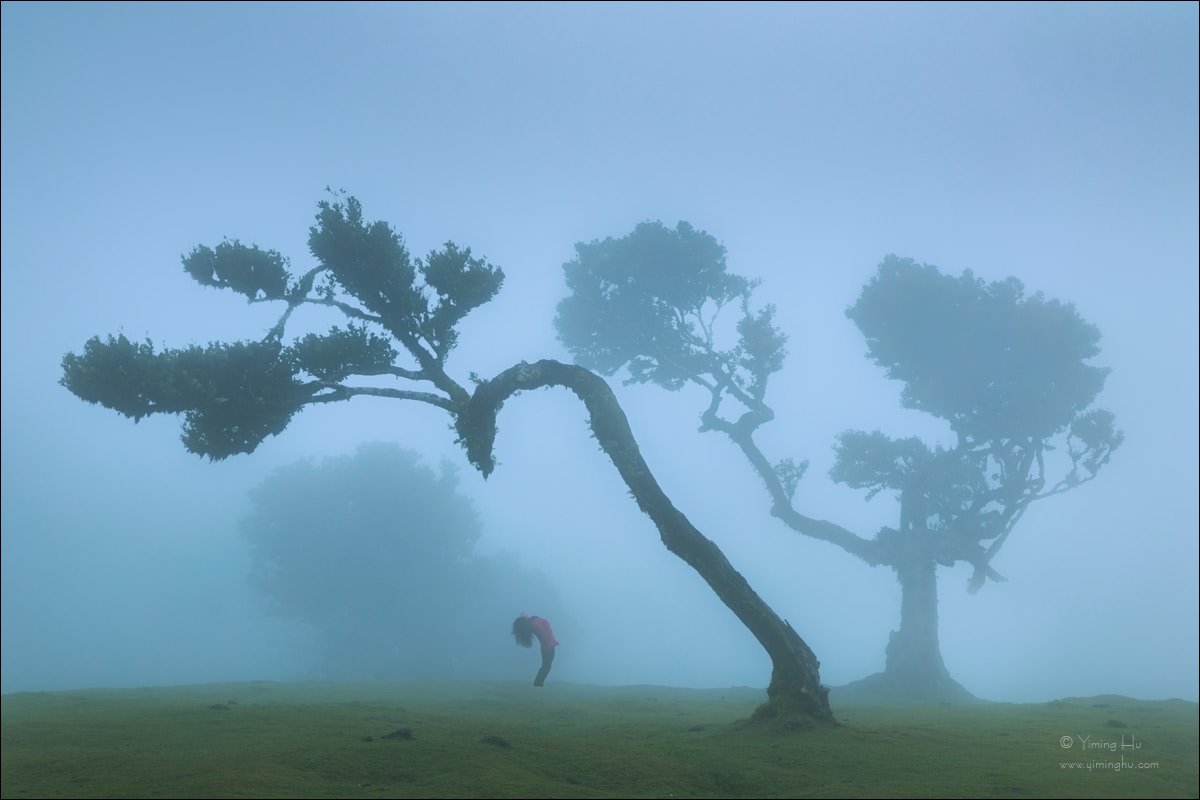 Portugal Islands Tour