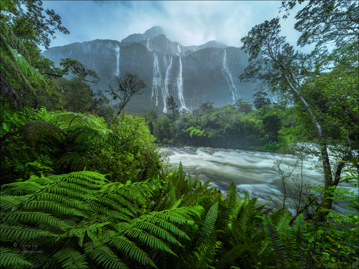 New Zealand Tour