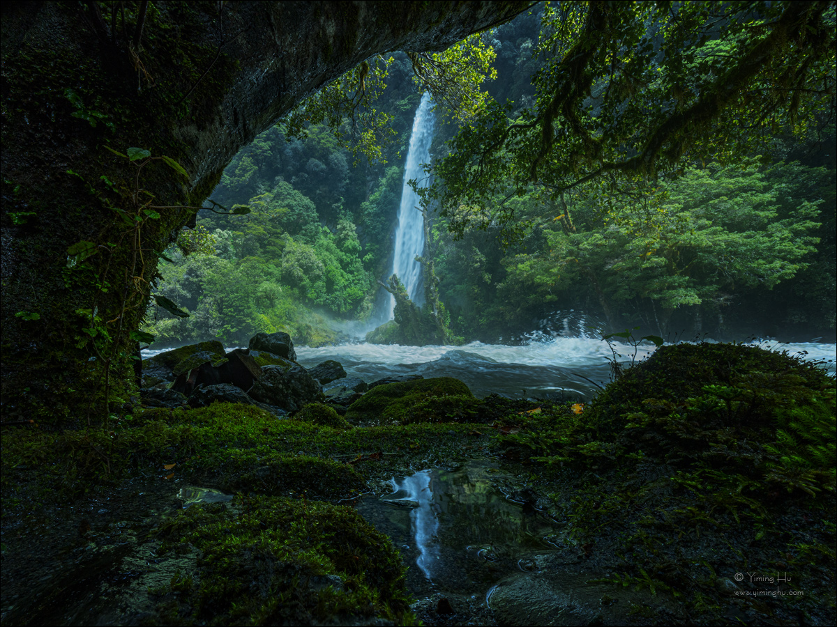 New Zealand Tour