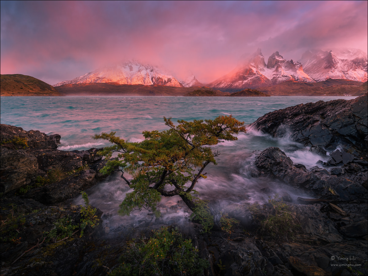 Patagonia Tour Image