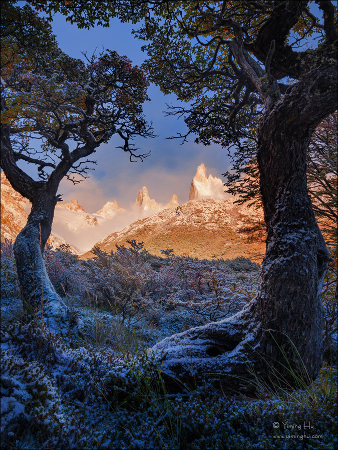 Patagonia Tour Image