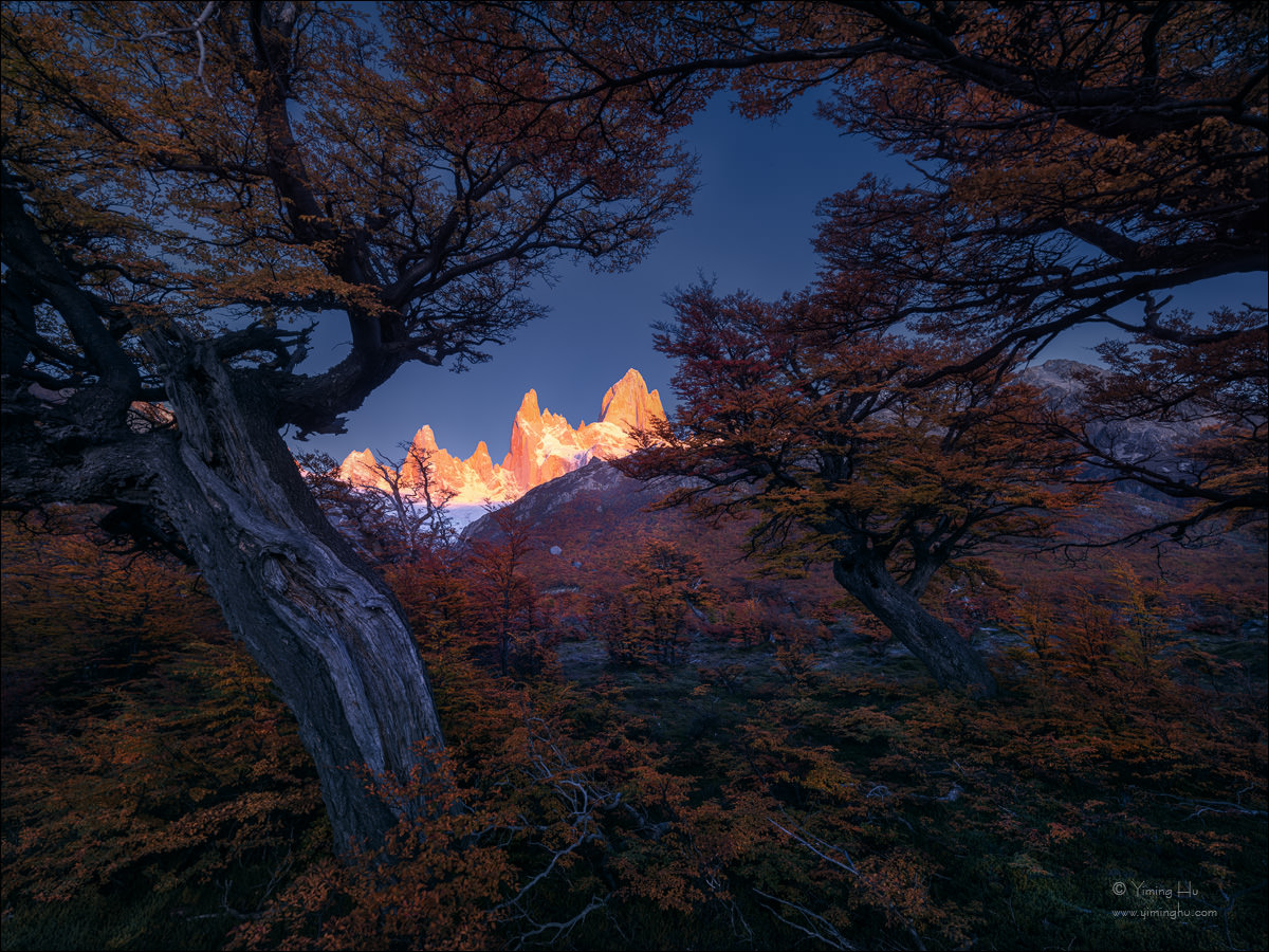 Patagonia Tour Image
