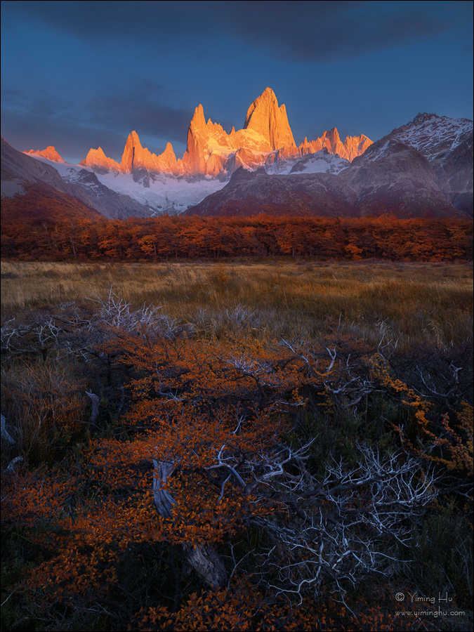 Patagonia Tour Image