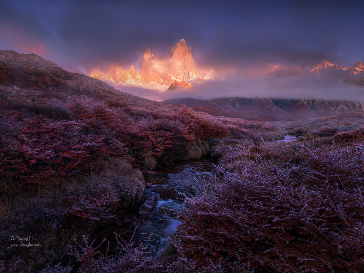 Patagonia Tour Image