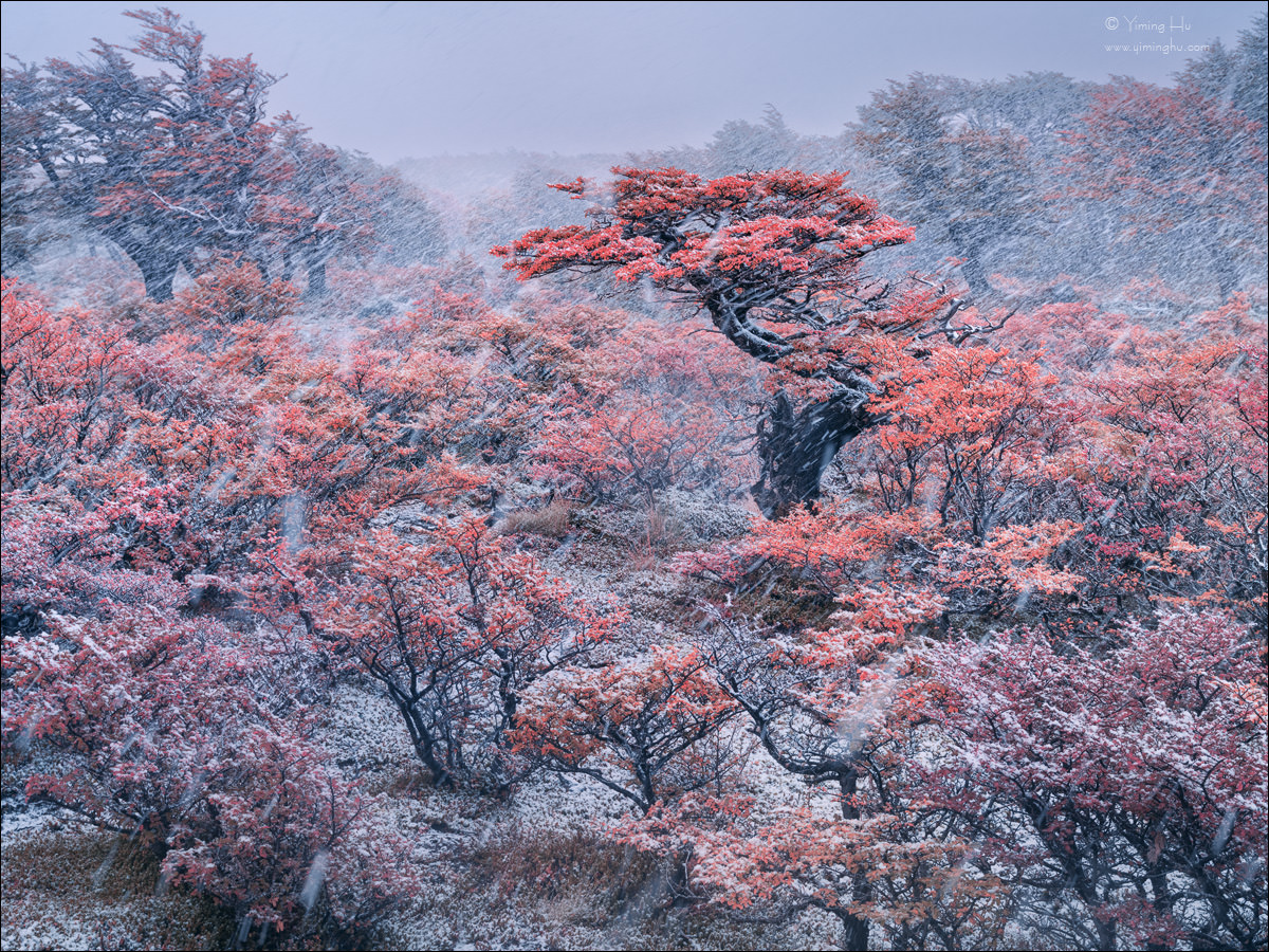 Patagonia Tour Image