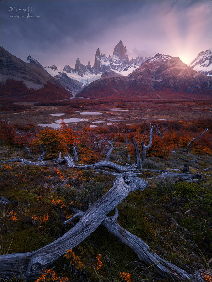 Patagonia Tour Image