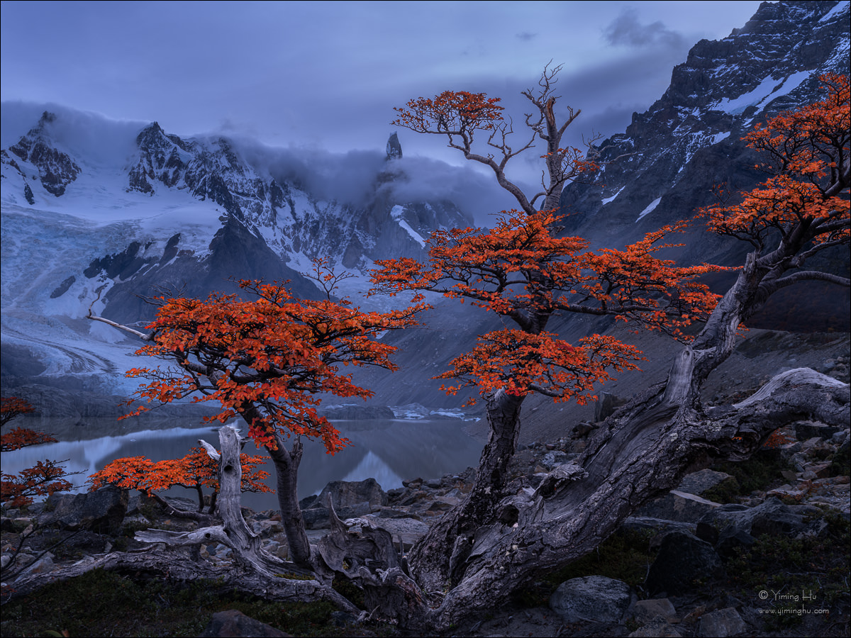 Patagonia Tour Image