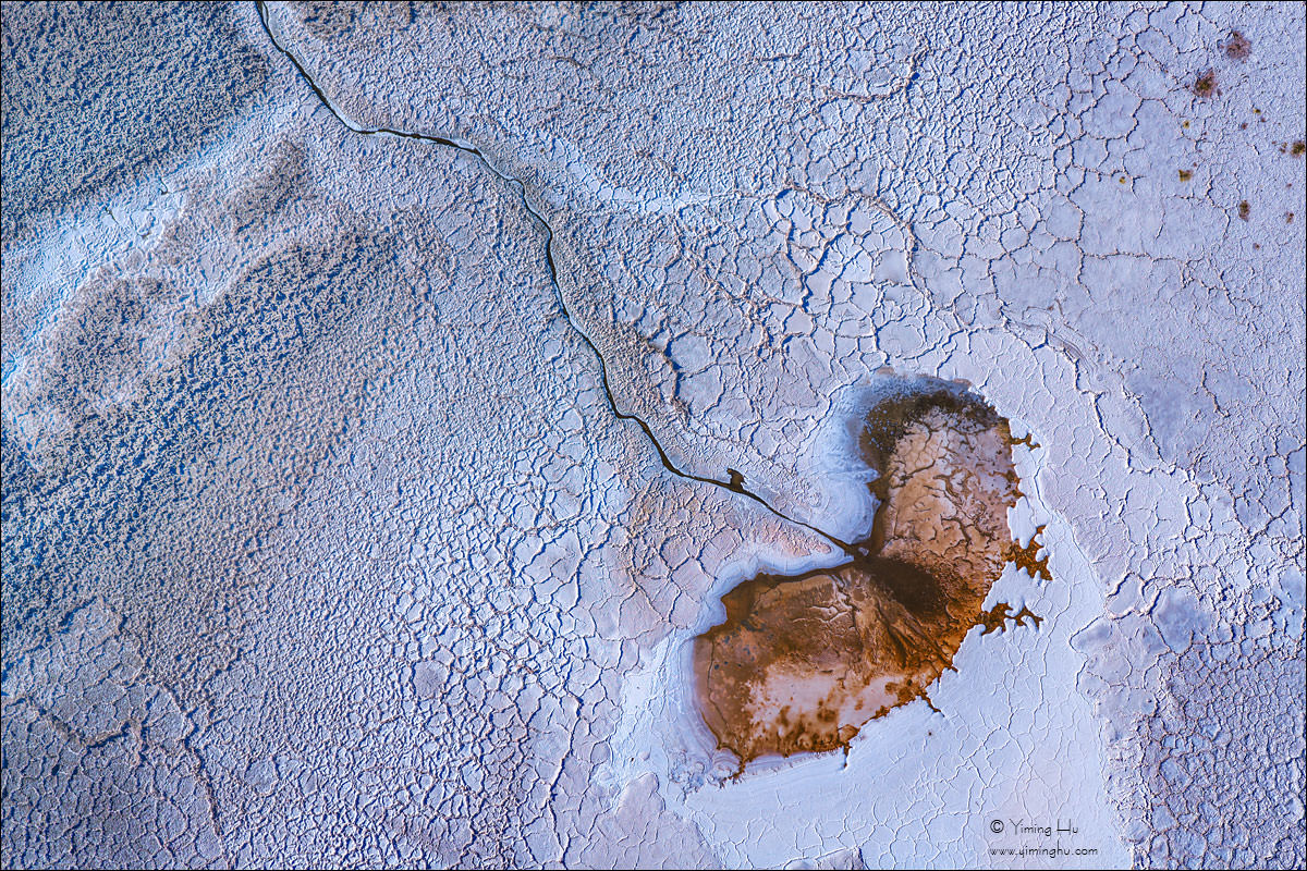 Butterfly-on-the-Salt-Flat