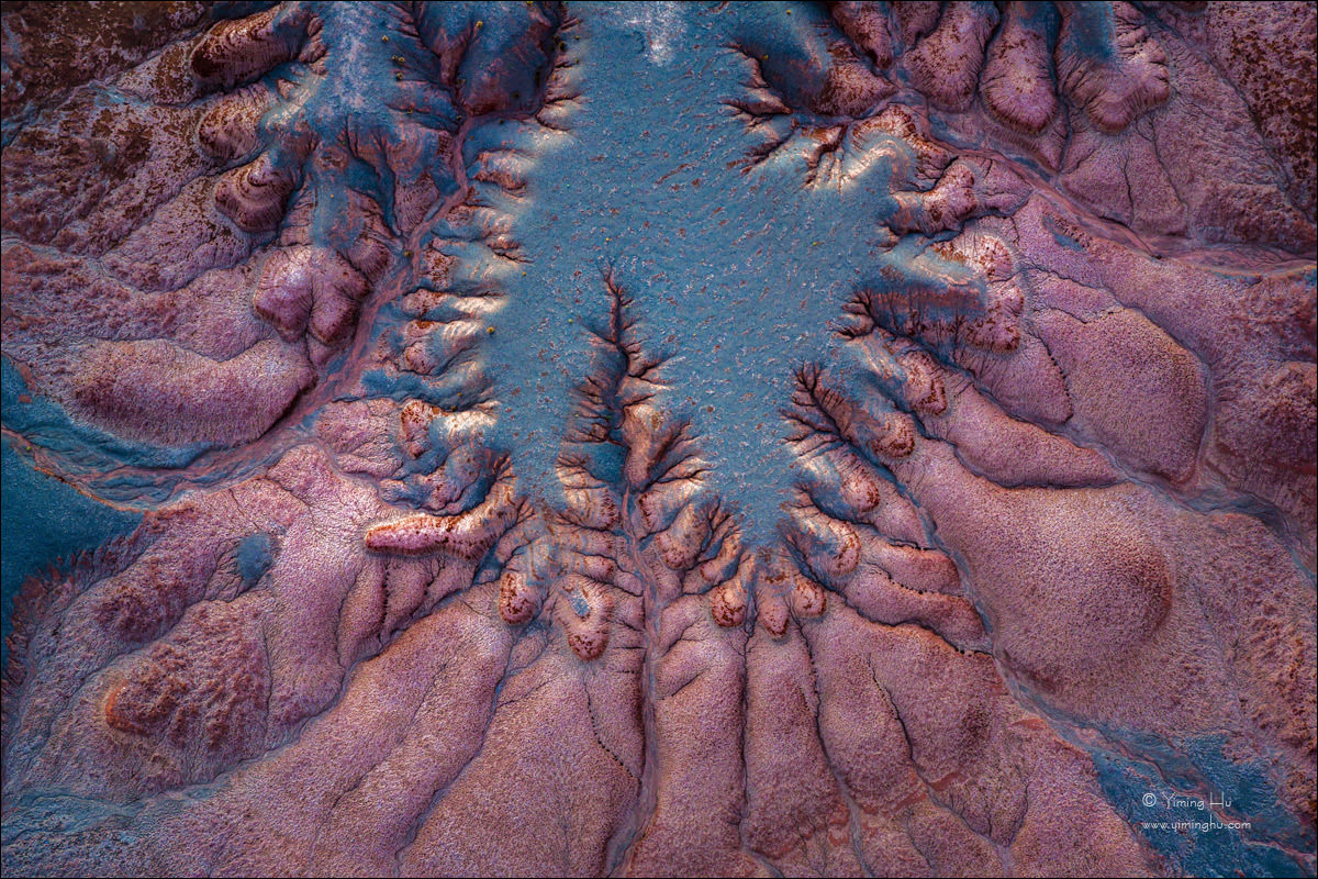Earth-Veins-in-Embrace