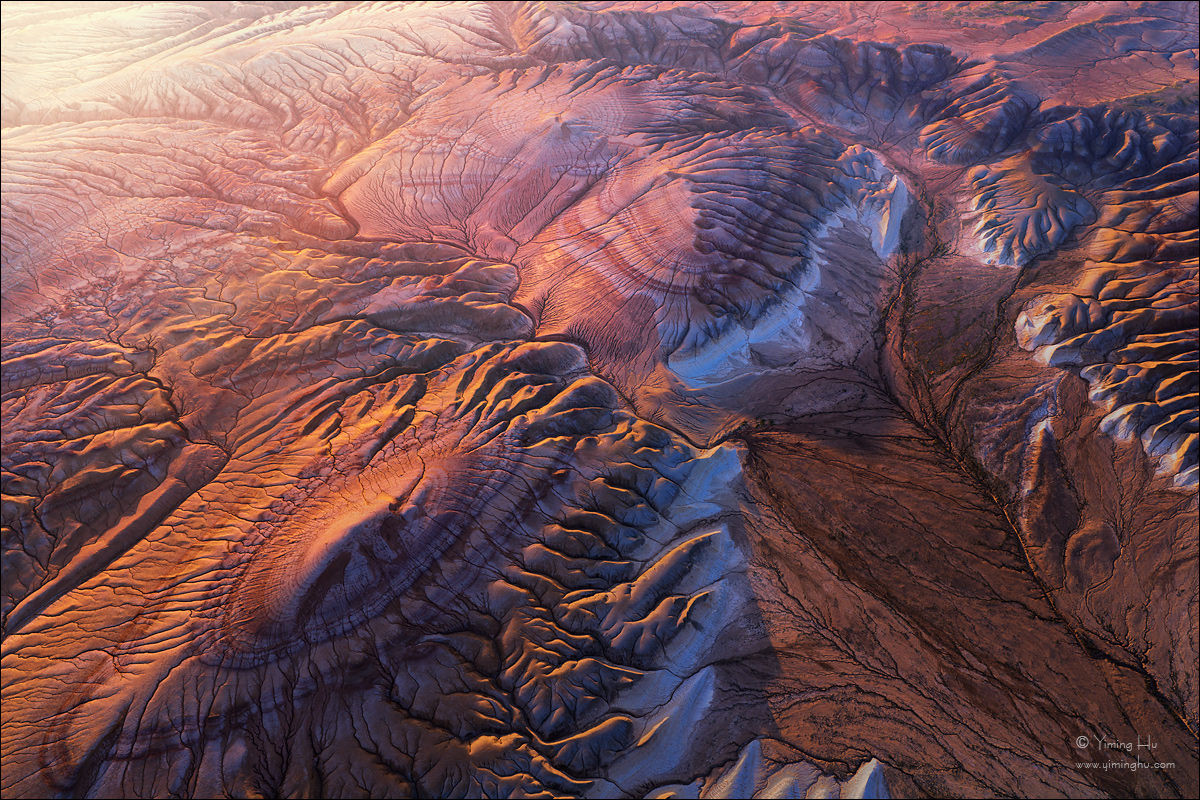 Terrestrial-Arteries