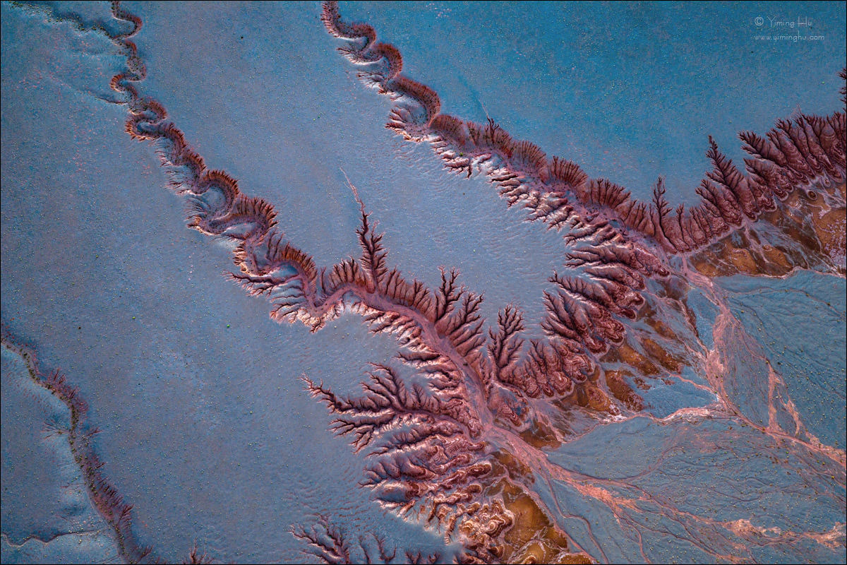 The-Branching-Edge