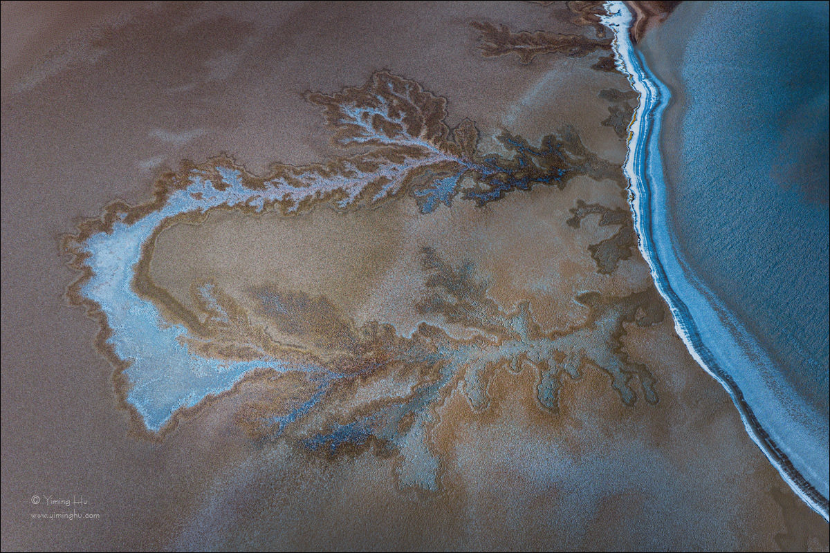 Twin-Trees-of-the-Saline-Shore