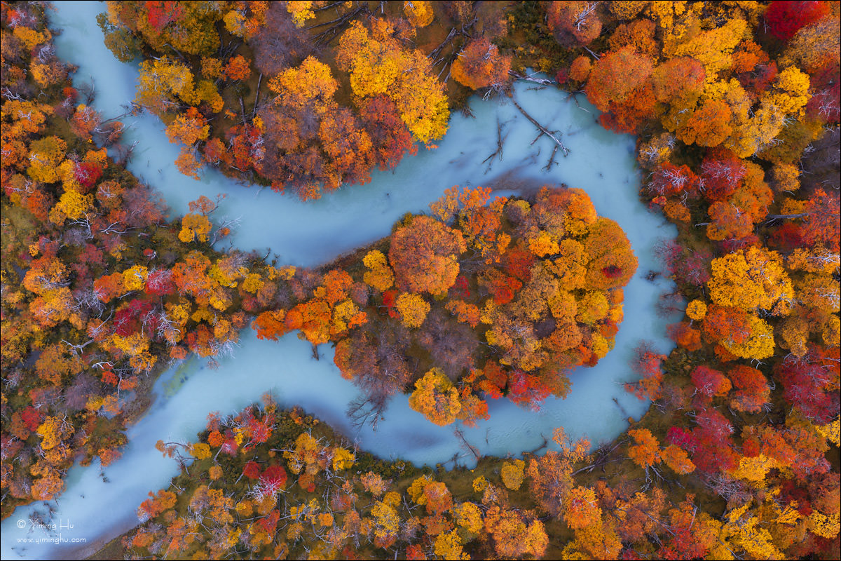 Autumn-Forest-in-a-Turquoise-Bend