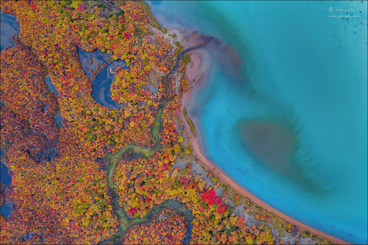 Colors-along-the-Autumn-Shore