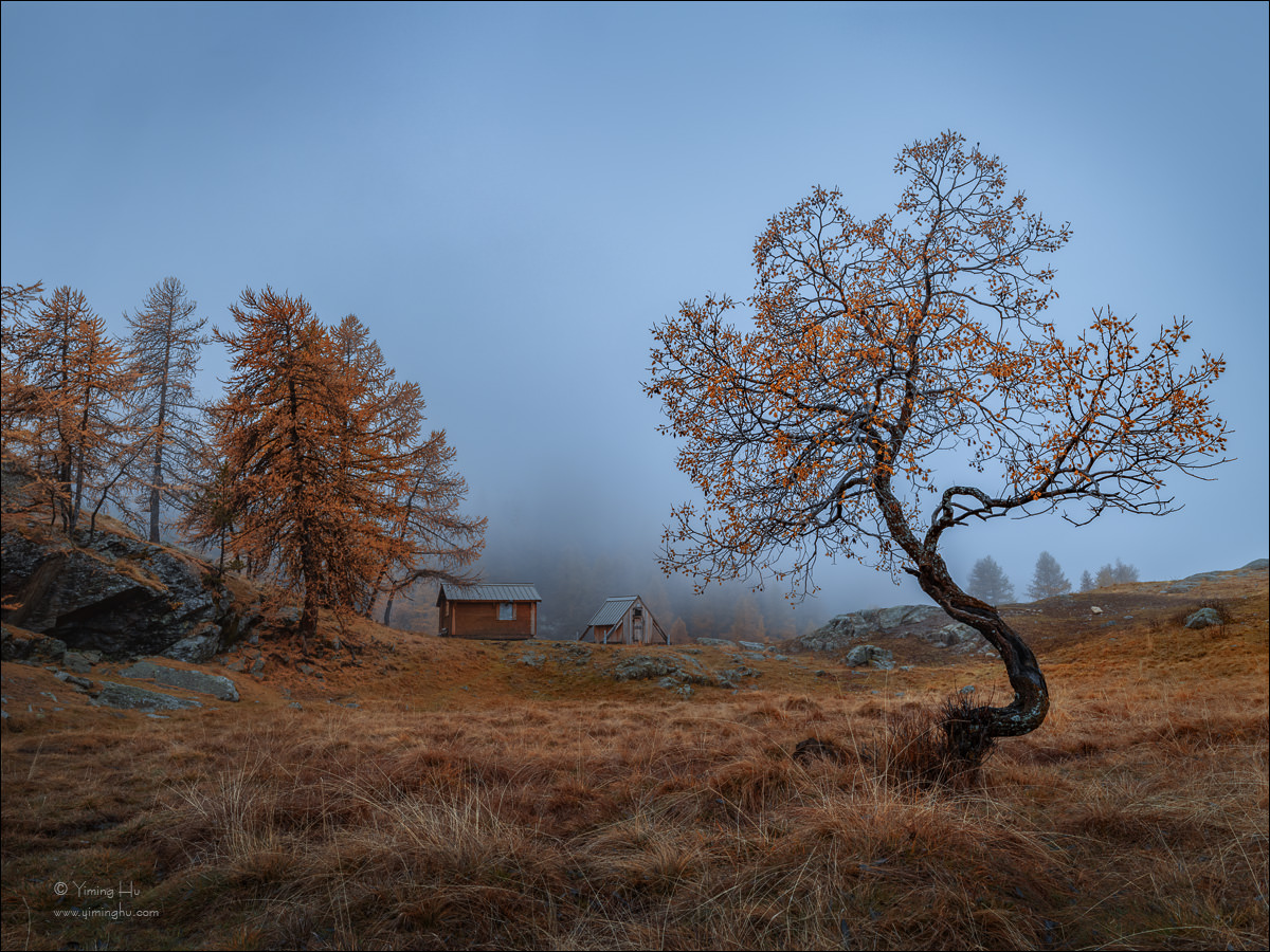 Alps Fall Colors Tour