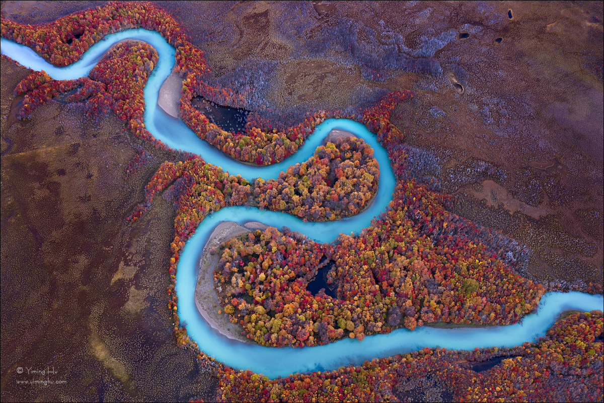 Turquoise-Meanders-through-Autumn-Forest