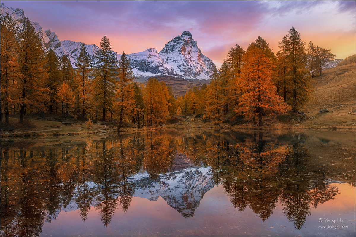 Alps Fall Colors Tour