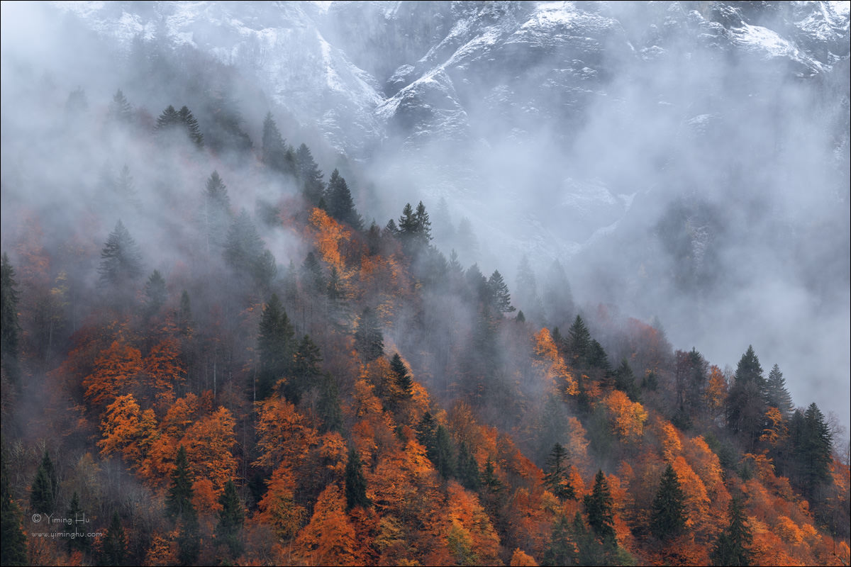 Alps Fall Colors Tour